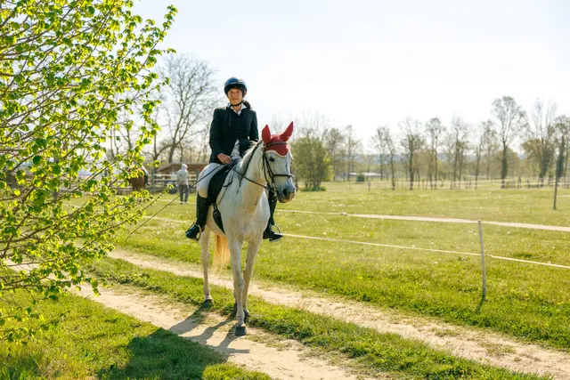 Mensch und Pferd auf der Wiese