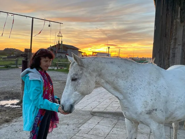 Birgit und ein Schimmel im Abendlicht