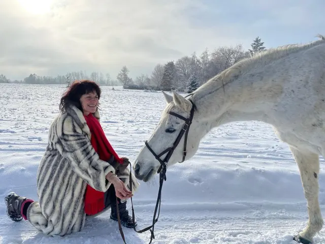 Begegnung mit einem Schimmel im Schnee